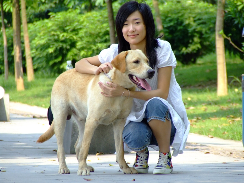 风中的绿叶的第一张照片--西安相亲服务中心