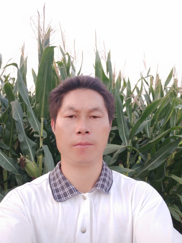 四海游龙的第一张照片--西安相亲服务中心