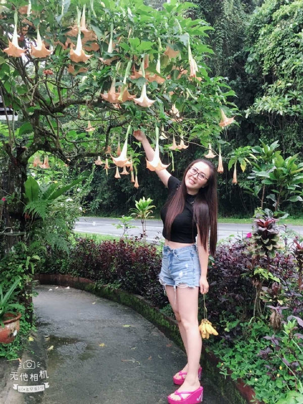 离异单身无子的第二张照片--西安相亲服务中心