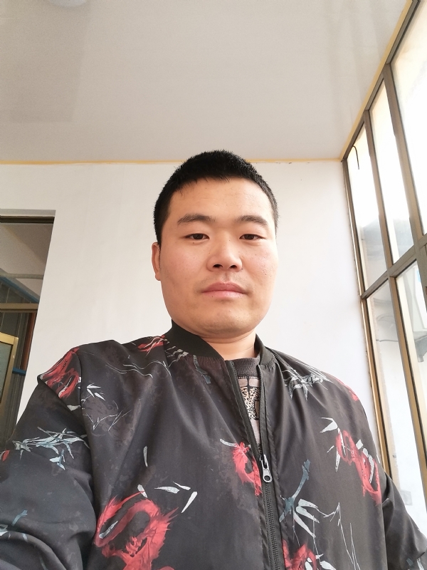 会飞的猪的第一张照片--西安相亲服务中心