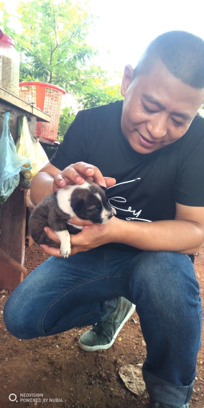 深圳相亲的第一张照片--西安相亲服务中心