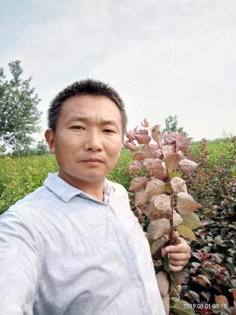 孩子爸的第二张照片--西安相亲服务中心