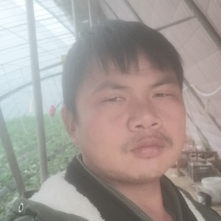 孤狼‘的第一张照片--西安相亲服务中心