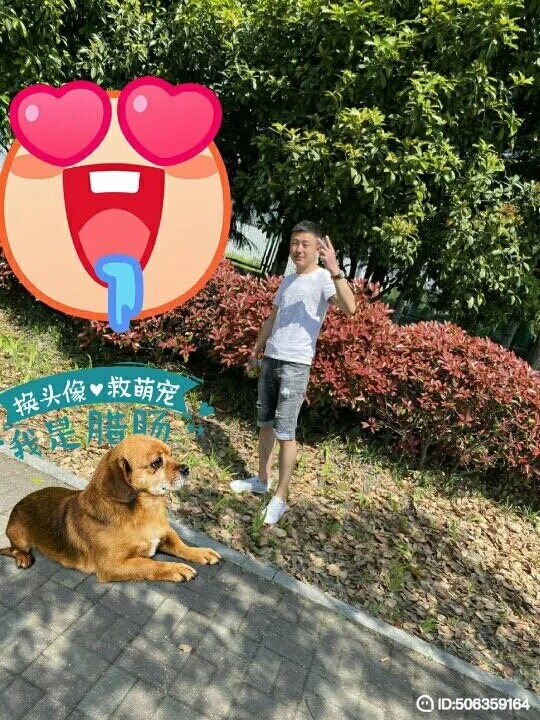 我若不坚强谁替我勇敢的第一张照片--西安相亲服务中心