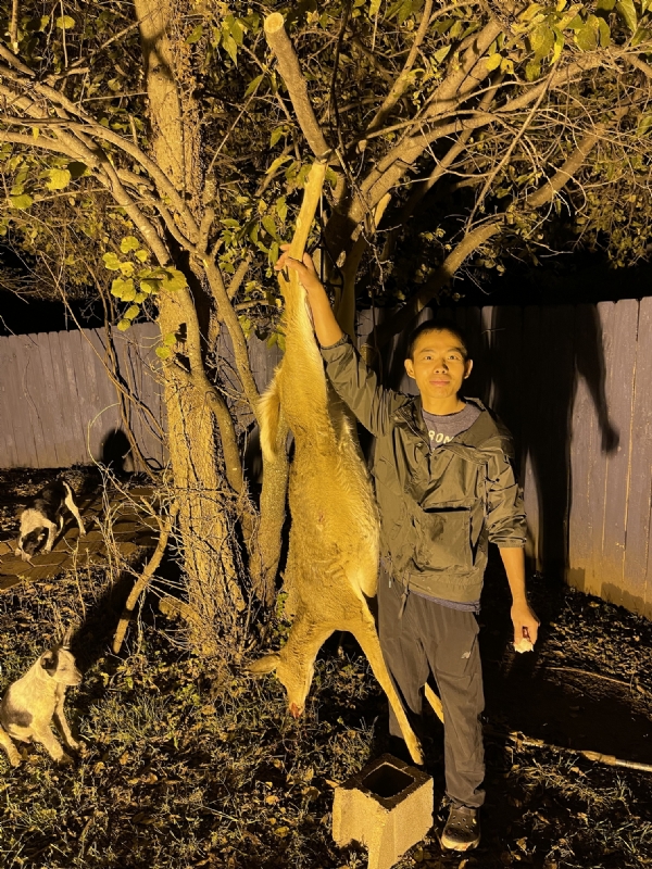 Kandy的第三张照片--西安相亲服务中心