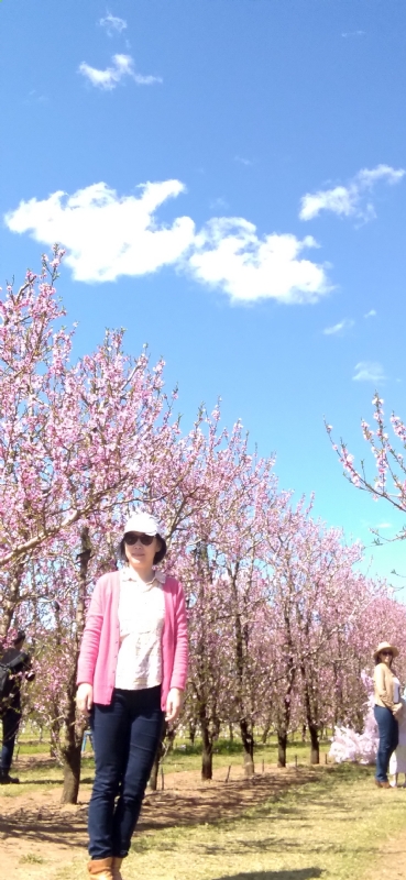 Grace的第二张照片--西安相亲服务中心