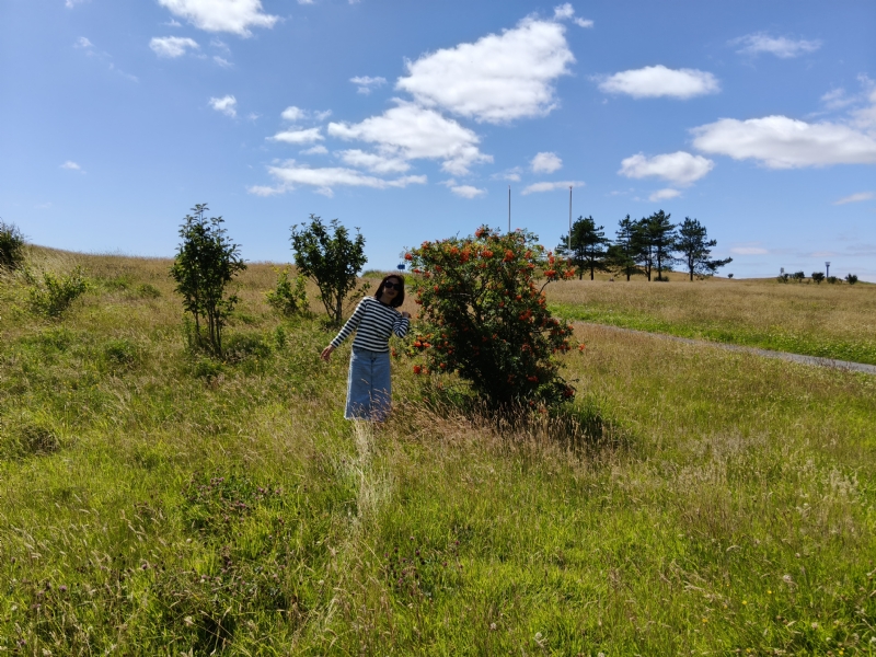 秋蝉的第一张照片--西安相亲服务中心