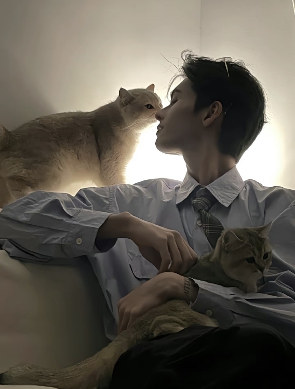 怪猫的第一张照片--西安相亲服务中心