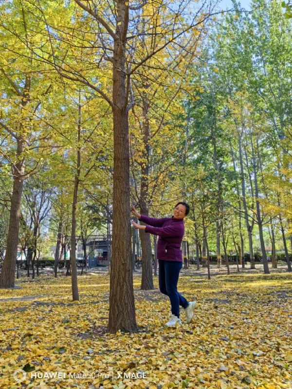 Shirley的第二张照片--西安相亲服务中心