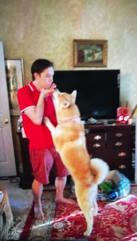 Leluch的第一张照片--西安相亲服务中心