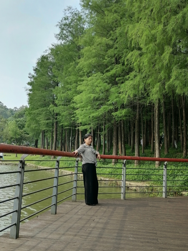 遗失的记忆的第二张照片--西安相亲服务中心