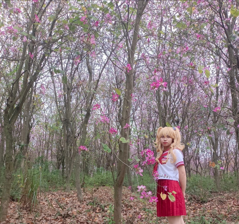 暮秋的第四张照片--西安相亲服务中心