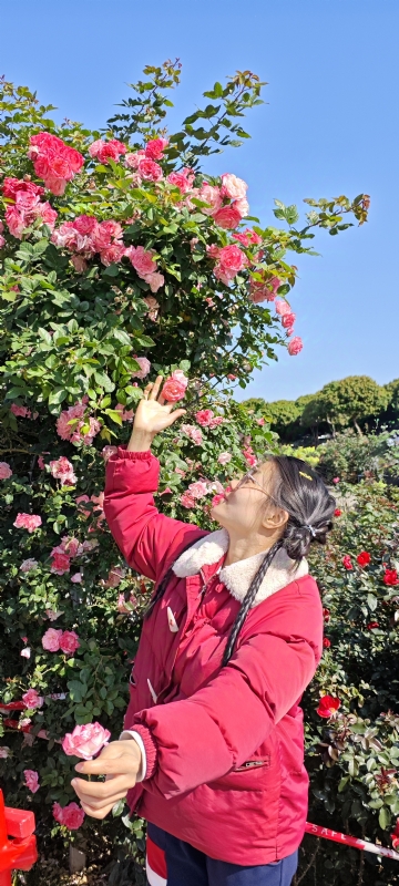 狗狗的第一张照片--西安相亲服务中心