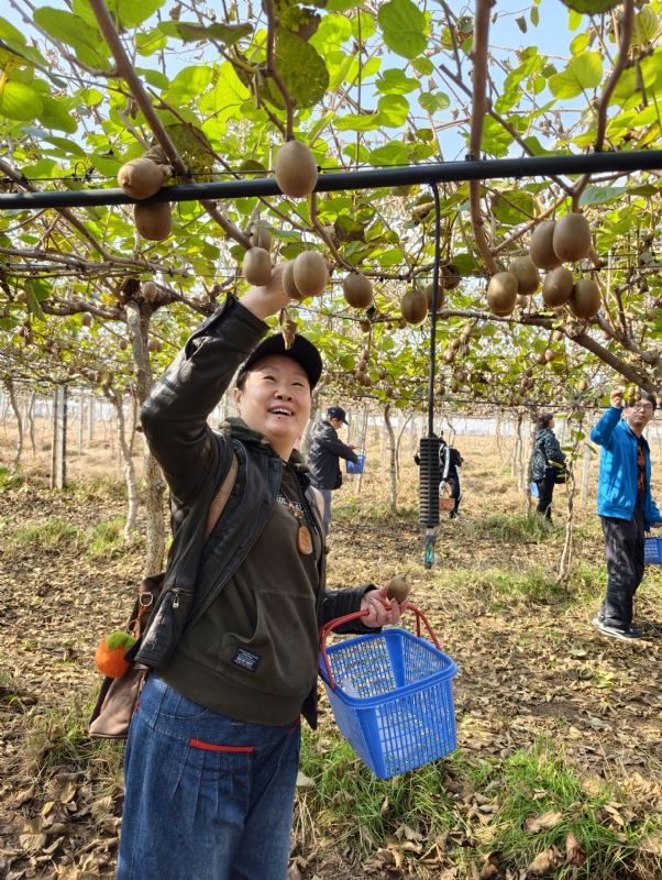 夜莺的第四张照片--西安相亲服务中心